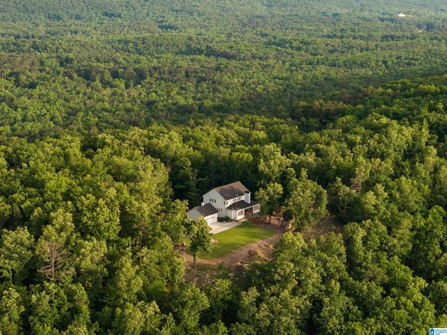 3589 SPRINGSTONE TRAIL, Leeds, AL 35094