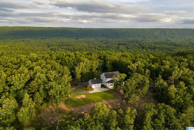 3589 SPRINGSTONE TRAIL, Leeds, AL 35094