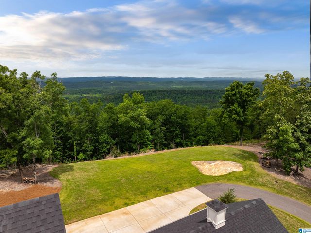 3589 SPRINGSTONE TRAIL, Leeds, AL 35094