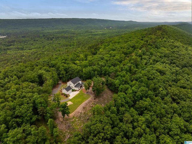 3589 SPRINGSTONE TRAIL, Leeds, AL 35094