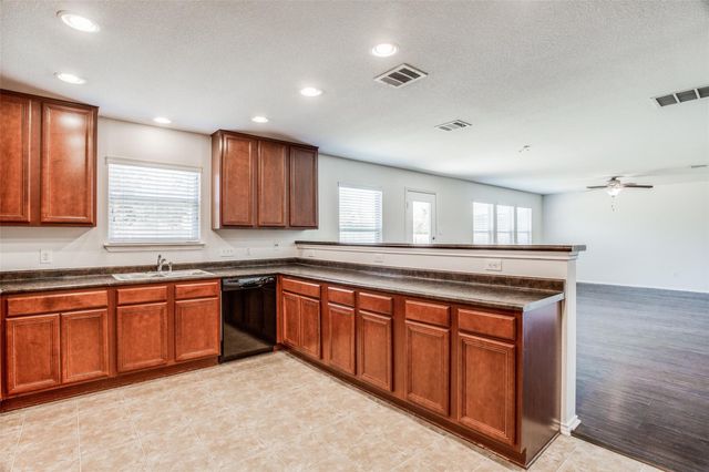 2017 Sydnee DR, Leander, TX 78641