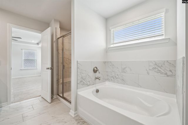 635 Griffon Drive, Chapin, SC 29036