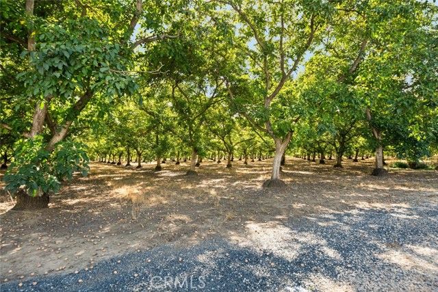 9243 Turner Lane, Durham, CA 95938