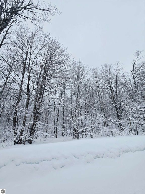 Image 1 of property listing at 4647 Hillview Drive, Elmira, MI 49730