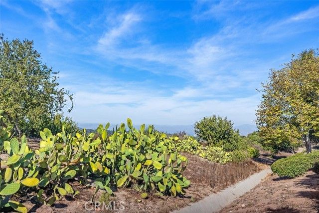 2 Crystalglen, Aliso Viejo, CA 92656