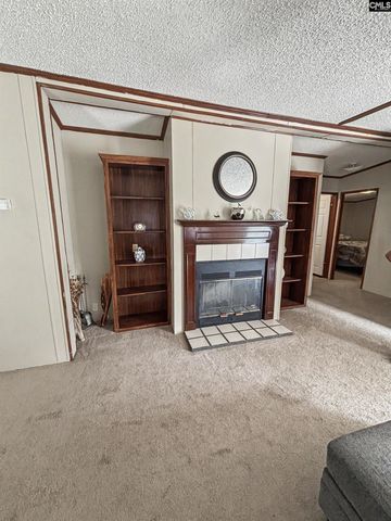 205 Rister Rd, Gaston, SC 29053