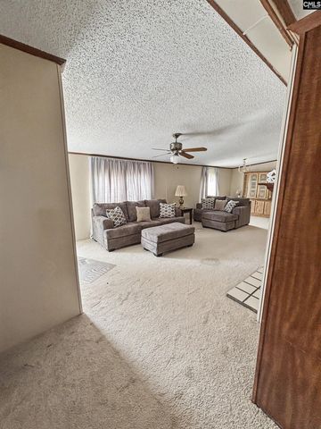 205 Rister Rd, Gaston, SC 29053