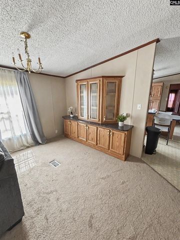 205 Rister Rd, Gaston, SC 29053