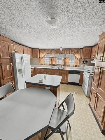 205 Rister Rd, Gaston, SC 29053