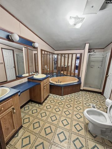 205 Rister Rd, Gaston, SC 29053