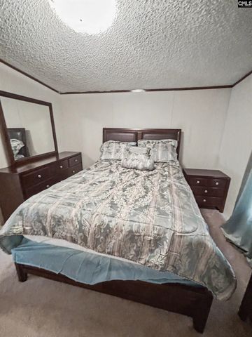 205 Rister Rd, Gaston, SC 29053