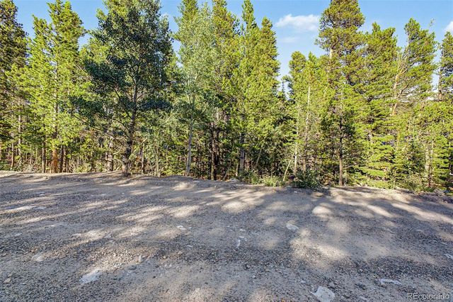 Elk Road, Idaho Springs, CO 80452