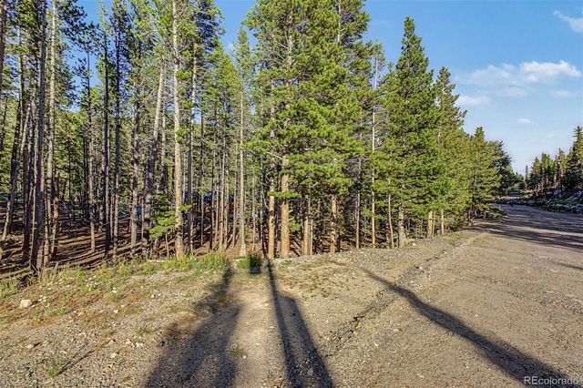 Elk Road, Idaho Springs, CO 80452