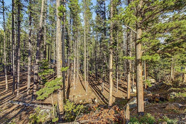 Elk Road, Idaho Springs, CO 80452
