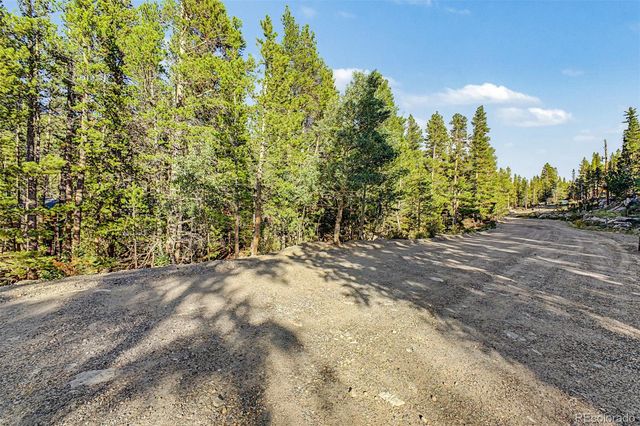 Elk Road, Idaho Springs, CO 80452