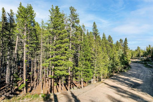 Elk Road, Idaho Springs, CO 80452