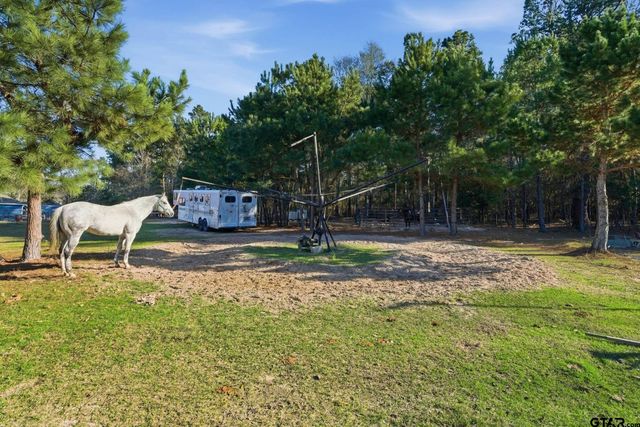 8261 County Road 381, Tyler, TX 75708