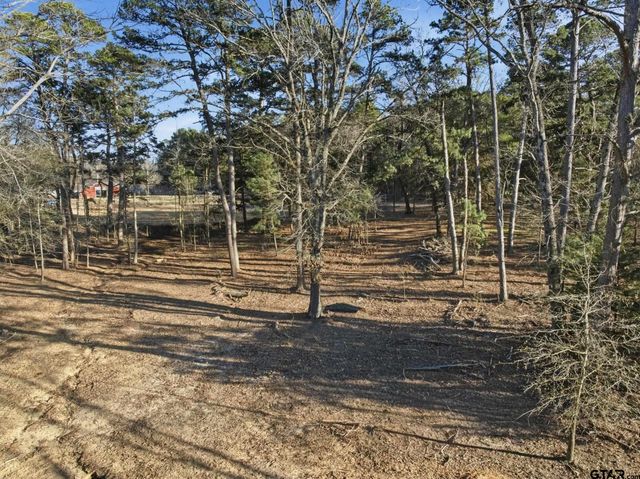 8261 County Road 381, Tyler, TX 75708