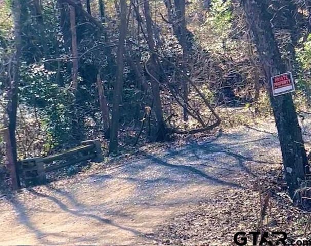 8261 County Road 381, Tyler, TX 75708