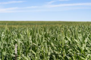 13661 Siler Road, Moody, TX 76557