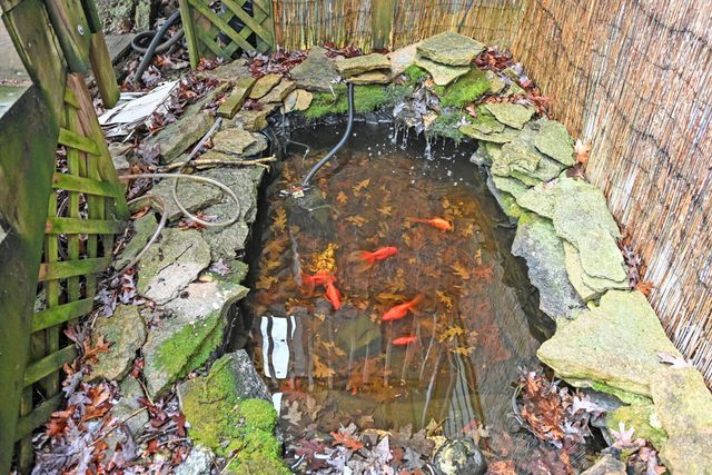 9271 Jerry Wright Road, Alexandria, KY 41001