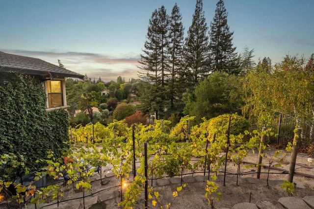 13 13 Kemp Ct, Alamo, CA 94507