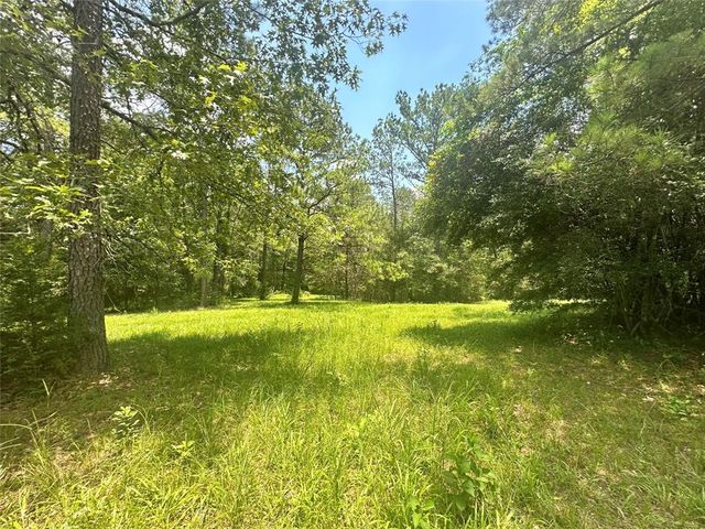 222 County Road 3085, Colmesneil, TX 75938