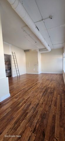 2409 W Hirsch Street, Chicago, IL 60622