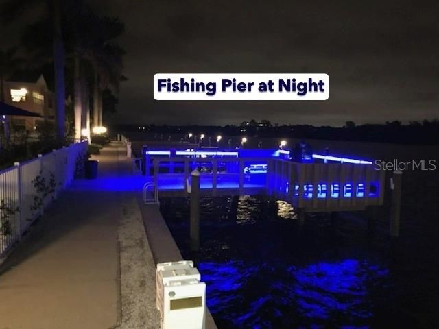 19417 GULF BOULEVARD A-113, Indian Shores, FL 33785