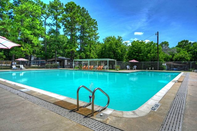 10196 Barberry Street, Willis, TX 77318