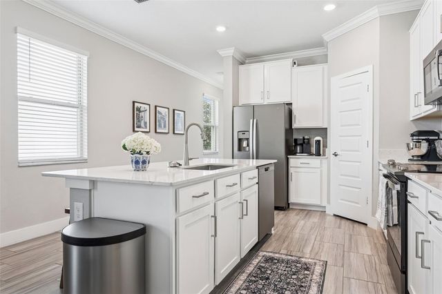 9783 WILD BEGONIA LOOP, Land O Lakes, FL 34637