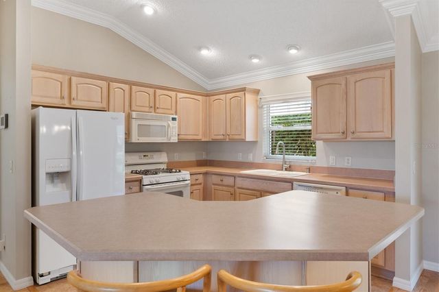 1982 SOMERSET AVENUE, The Villages, FL 32162