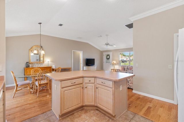 1982 SOMERSET AVENUE, The Villages, FL 32162