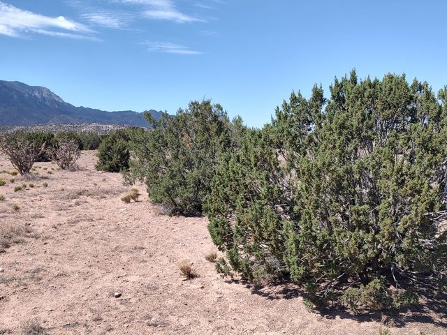 Cielo Norte Tract B-3, Placitas, NM 87043