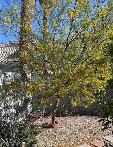 8433 Pacific Fountain Avenue, Las Vegas, NV 89117