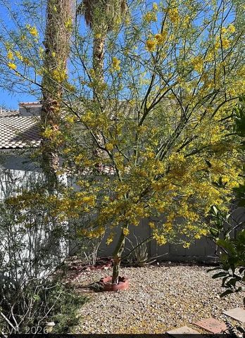 8433 Pacific Fountain Avenue, Las Vegas, NV 89117