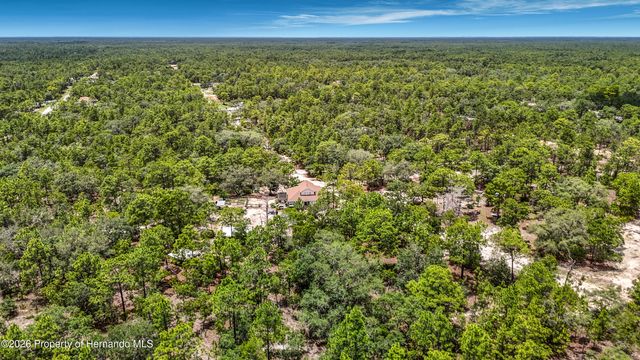 12126 Skimmer Avenue, Weeki Wachee, FL 34614