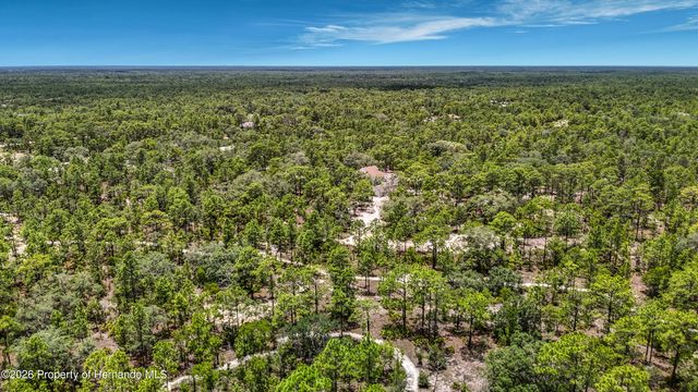 12126 Skimmer Avenue, Weeki Wachee, FL 34614
