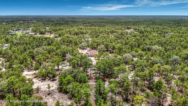 12126 Skimmer Avenue, Weeki Wachee, FL 34614