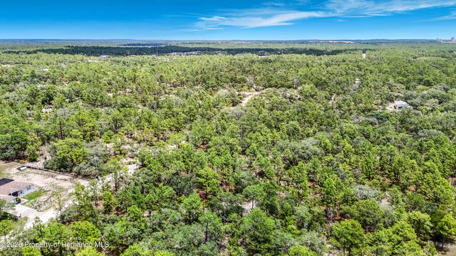 12126 Skimmer Avenue, Weeki Wachee, FL 34614