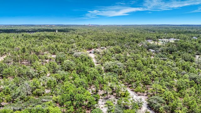 12126 Skimmer Avenue, Weeki Wachee, FL 34614