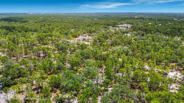 12126 Skimmer Avenue, Weeki Wachee, FL 34614