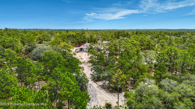 12126 Skimmer Avenue, Weeki Wachee, FL 34614