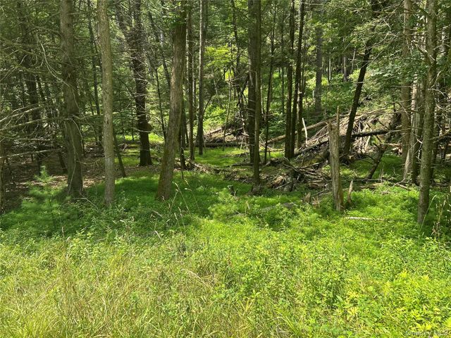 126 Yulan-Barryville Road, Barryville, NY 12719