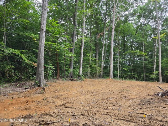 County Rd 121, Lot 2, Athens, TN 37303