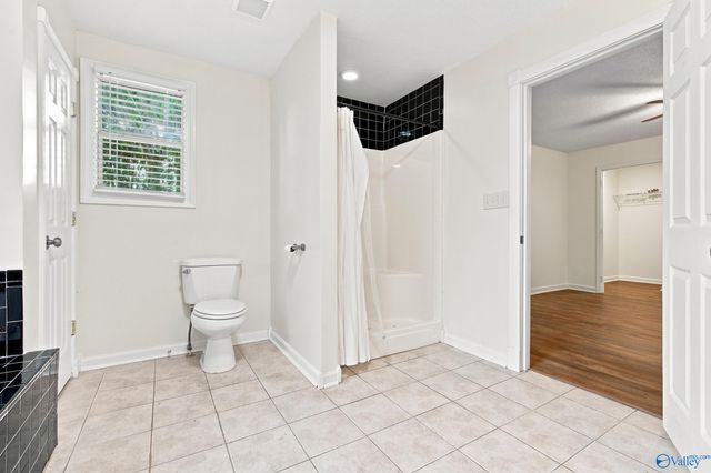 808 Rolan Gooch Road, Toney, AL 35773
