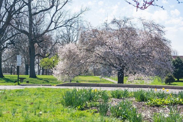 951 Mount Pleasant Avenue, Columbus, OH 43201