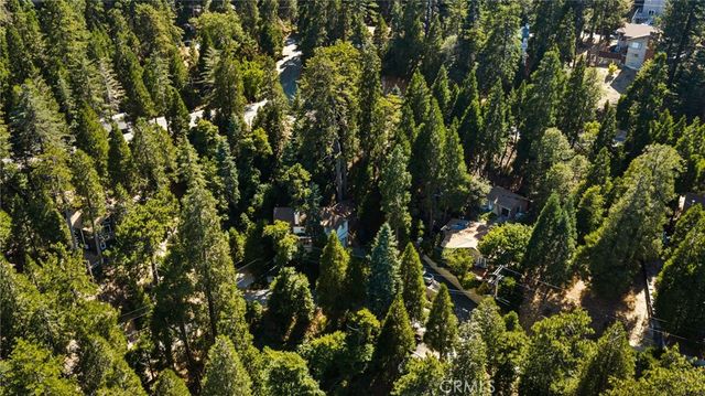 24599 Geneva Dr, Crestline, CA 92325