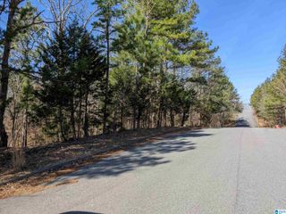 0 (Lot 242) WINFREY LANE, Anniston, AL 36206