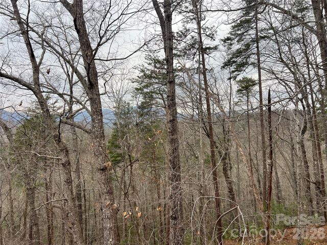 132 Egret Road, Lake Lure, NC 28746
